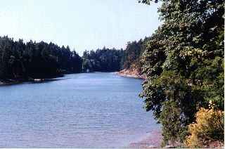 Waterfront view from strata common property, Meadow Valley Properties Thetis Island.